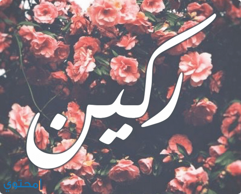 اسم ركين