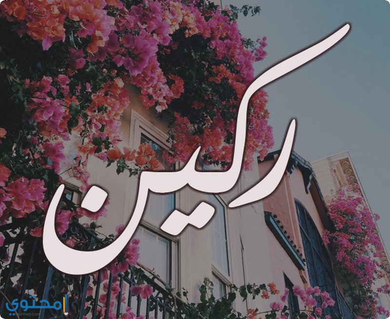 اسم ركين