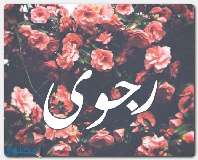 معنى اسم رجوى وصفات حاملة الاسم Rgwa - موقع محتوى