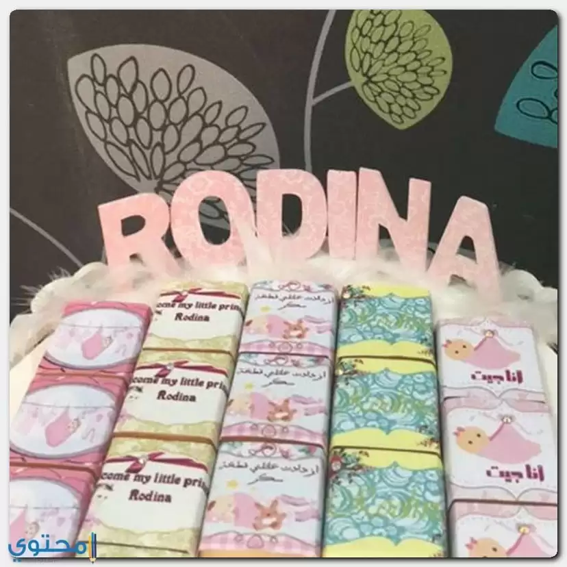 معنى اسم Rodina