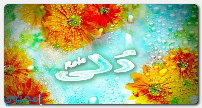 اسم رُلى