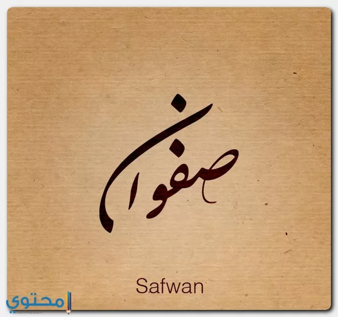 معنى اسم صفوان في القرآن ومعجم المعاني الجامع