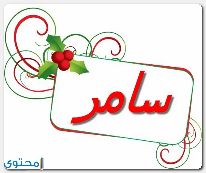 معنى اسم سامر