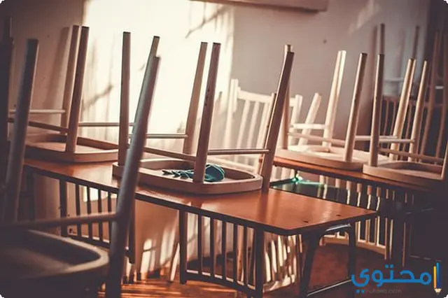 نهاية العام الدراسي