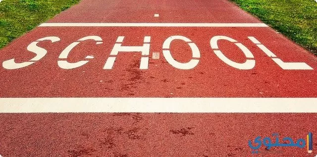 School3