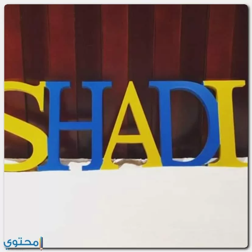 معنى اسم شادي وصفاته وحكم التسمية به (Shady)