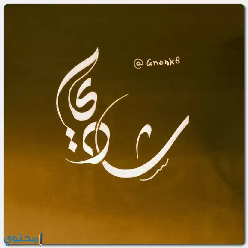 Shadi08 1