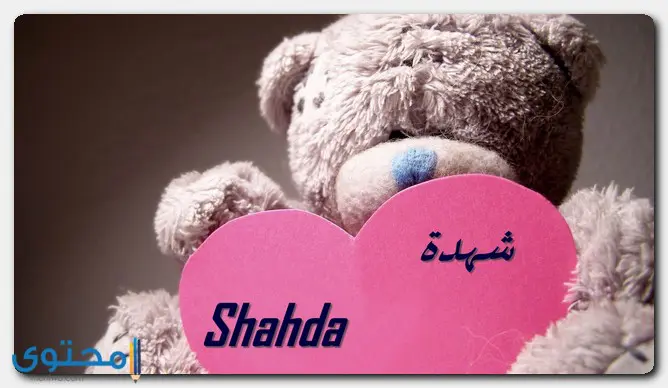 Shahda2