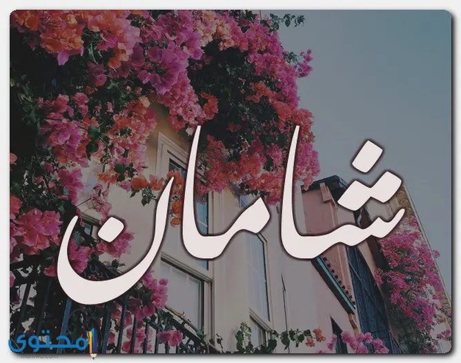 اسم شامان