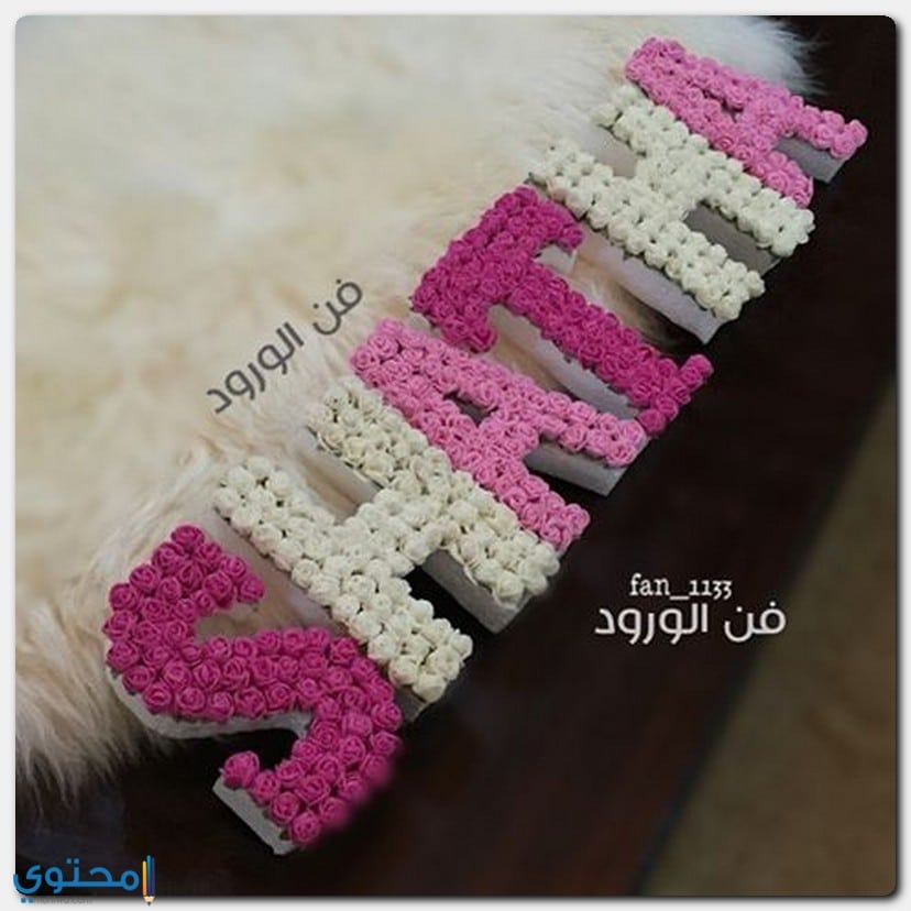 معنى اسم آنا وصفاته