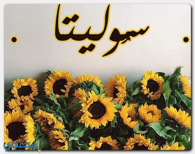 اسم سوليتا