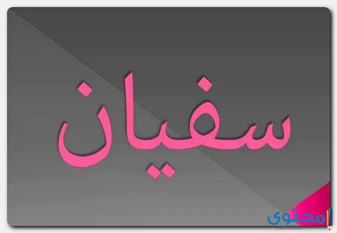 معنى اسم سفيان