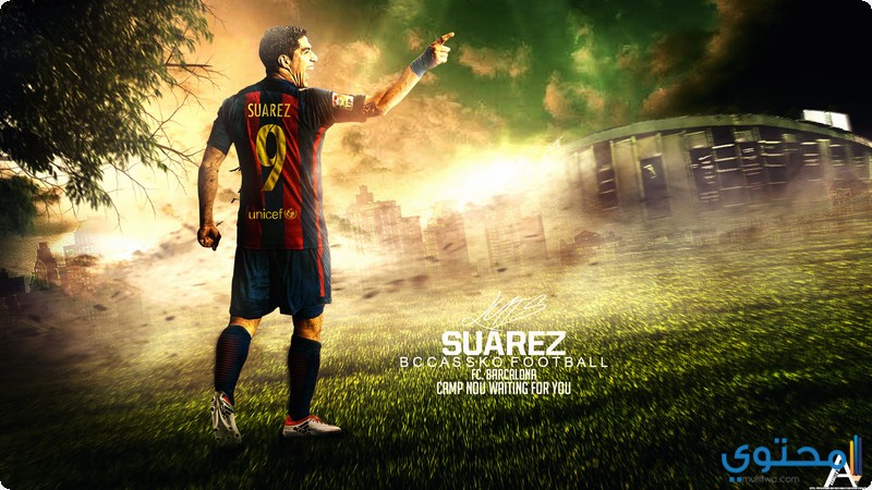 Suárez10.jpg