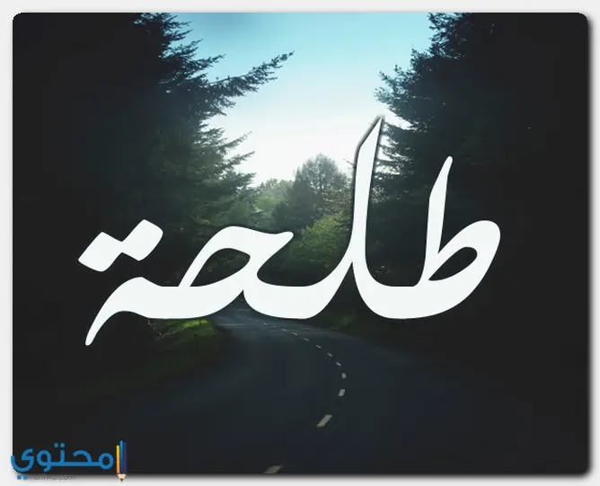 معنى اسم طلحة وصفات حامل الاسم Talha