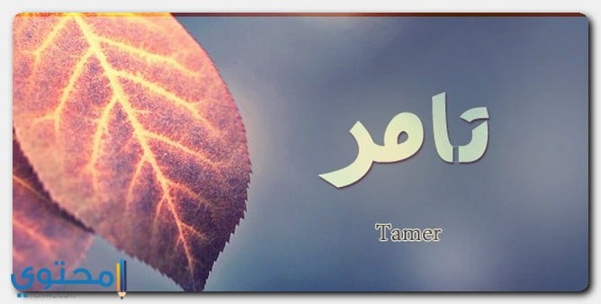 تحليل شخصية اسم تامر