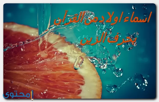 اسماء اولاد من القران