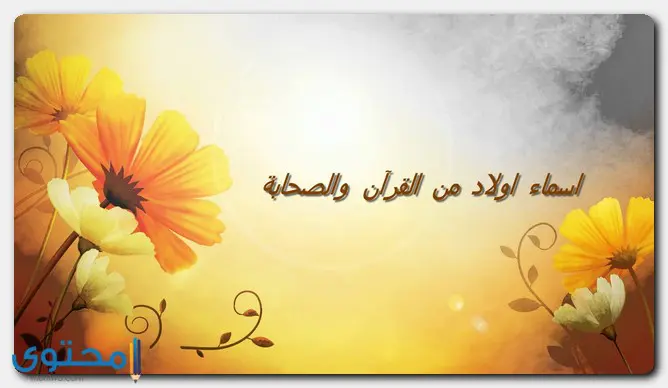 اسماء اولاد من القران
