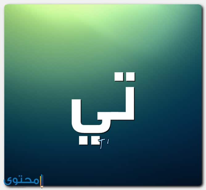 اسم تي بالإنجليزي