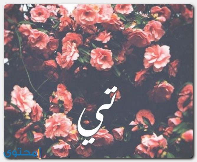 اسم تي بالصور