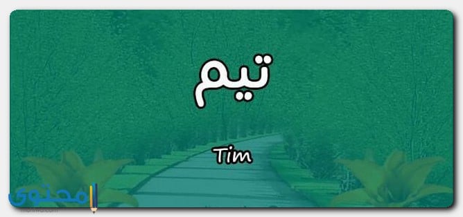 إسم توفيق بالانجليزي مزخرف معنى اسم تيم وصفات حامل الاسم Tim - موقع محتوى