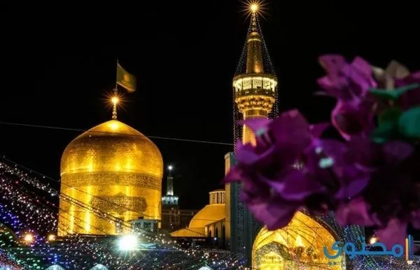 المولد النبي الشريف