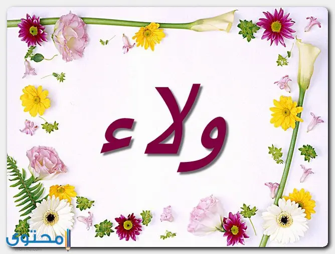 دلع اسم ولاء