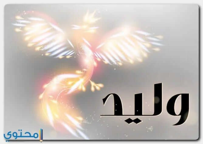 معنى اسم وليد (Waleed) وصفاته وحكم التسمية به