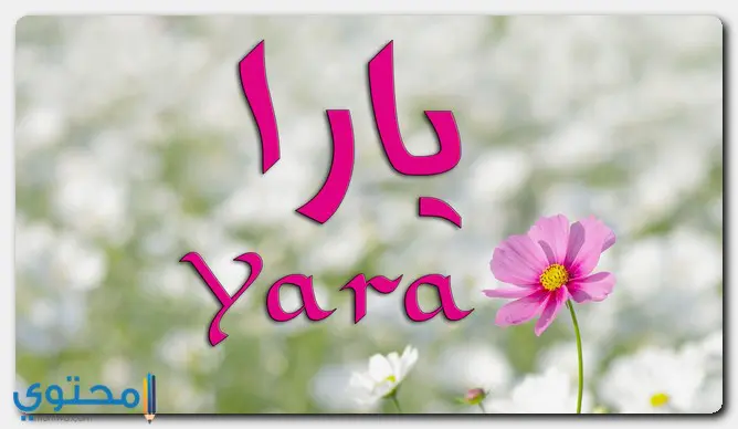 اسم يارا