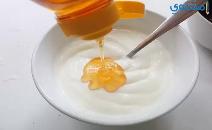 Yoghurt And Honey Mask
