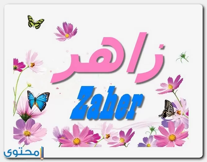 صفات حامل اسم زاهر