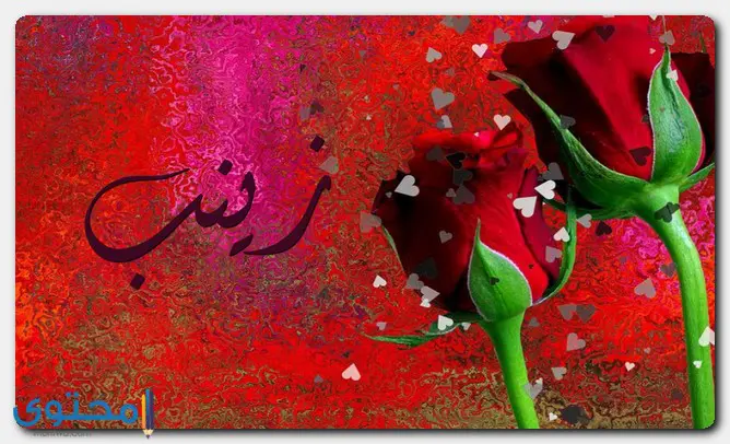 اسم زينب