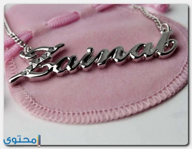 معنى اسم زينب