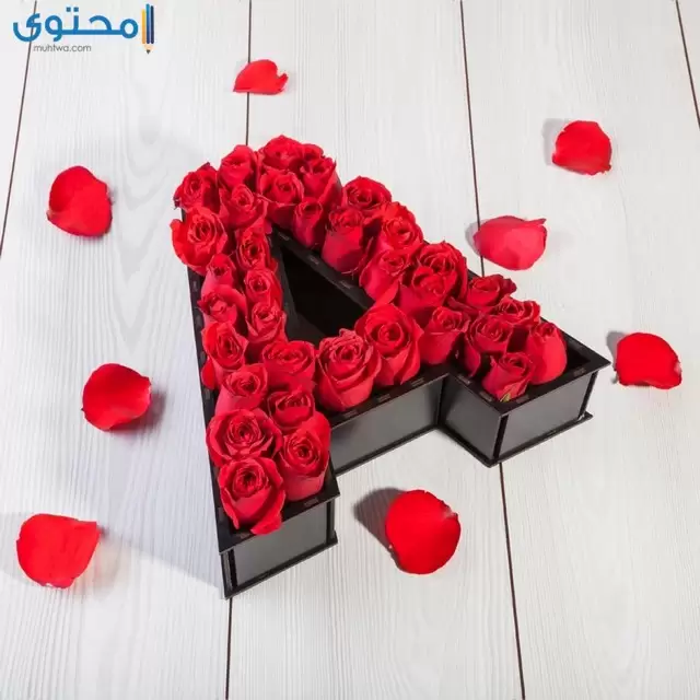 رمزيات حرف a تويتر