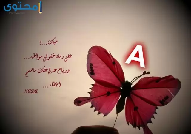 حرف a رومانسي