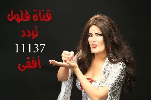 تردد قناة فلول