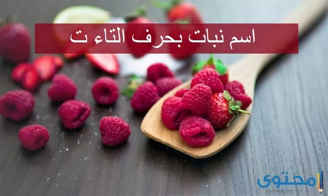 اسم نبات بحرف التاء (ت) اشهر نباتات حرف التاء