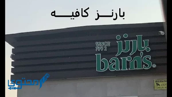 بارنيز آيس تشيكن وايت موكا السعر