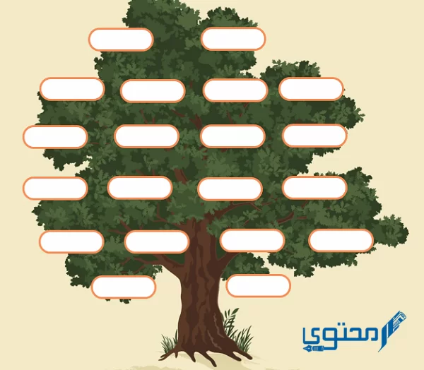 تحميل نموذج شجرة العائلة فارغة word وpdf