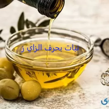 نبات بحرف الزاي