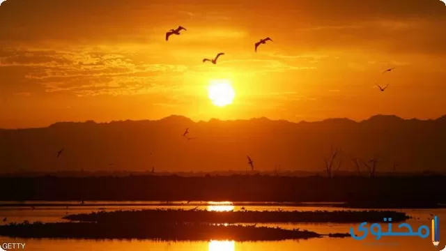 تفسير رؤية شروق الشمس في المنام