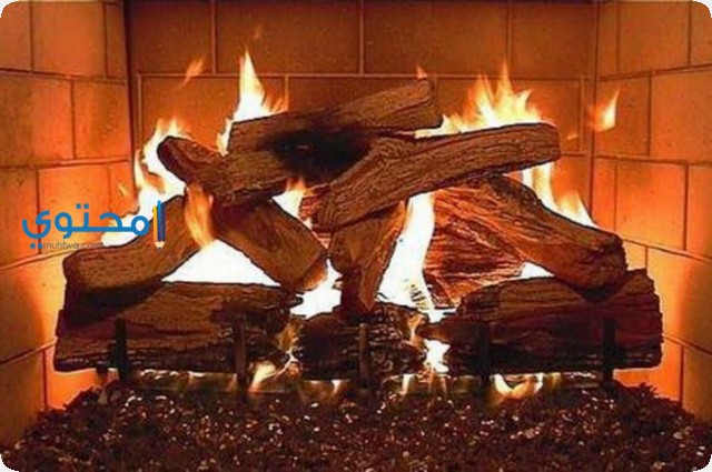 تفسير رؤية الحطب في الحلم لابن سيرين والنابلسي 1 الحطب في الحلم