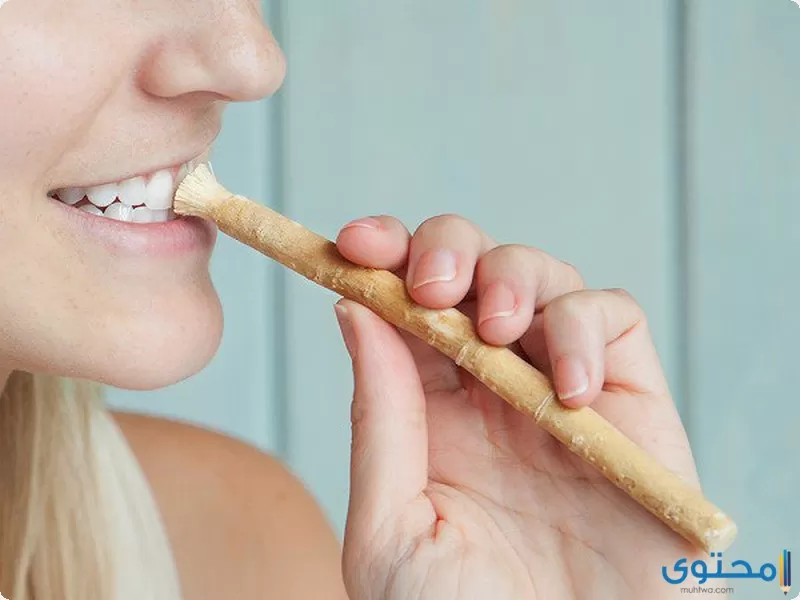 catalogv1 miswak 1