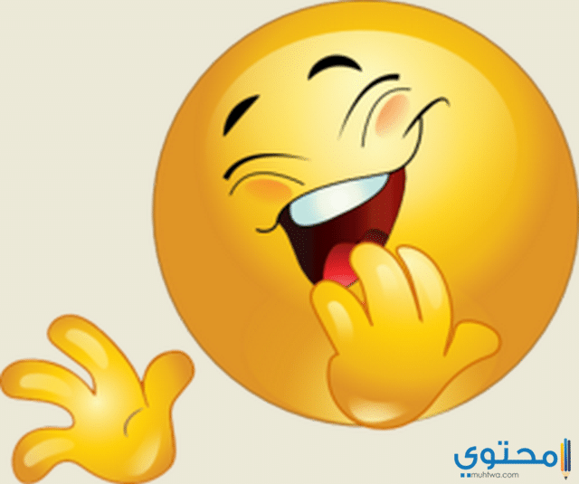 حكم مضحكة جديدة