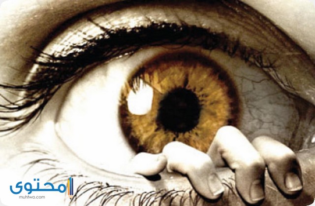 كيف يتم علاج العين وما هي علامات الإصابة وما مخاطرها