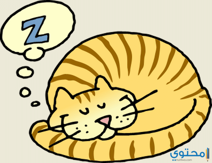 f64080b951e5e284e6a71584c0ae0538 sleeping cat clipart 1 cat sleeping clip art 395 304