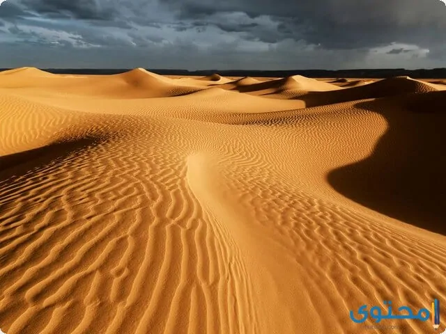 تفسير رؤية الصحراء في المنام للعزباء والمتزوجة