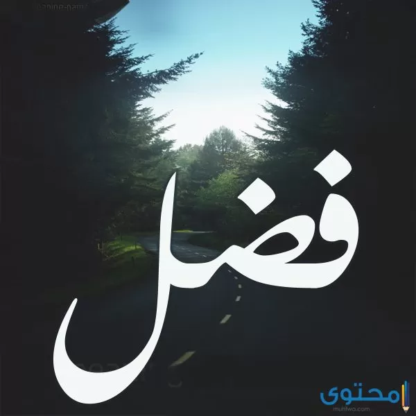 معنى اسم فضل