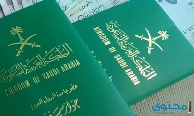 تفسير الاحلام والرؤي جواز السفر في المنام