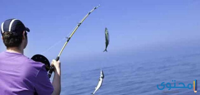 تفسير رؤية صيد السمك في المنام العصيمي