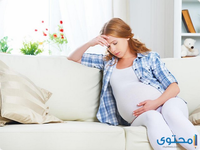 تفسير رؤية الحمل في المنام